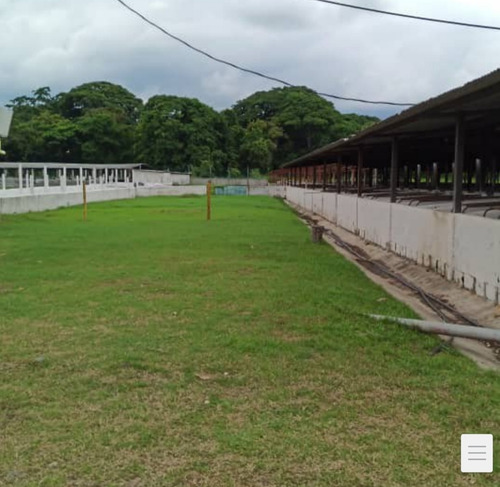 Imagen 6 de 17 de Complejo Porcino En Barquisimeto, Lara Operativo En Venta