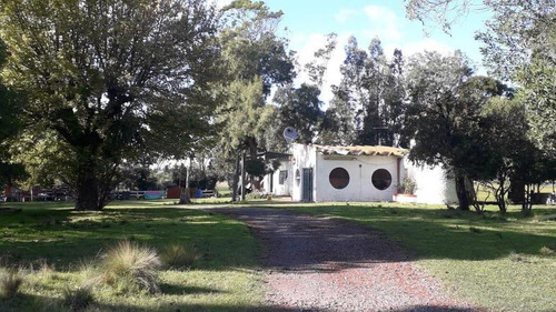 7 Hectareas Y Media En Batan Ideal Emprendimiento De Viviendas