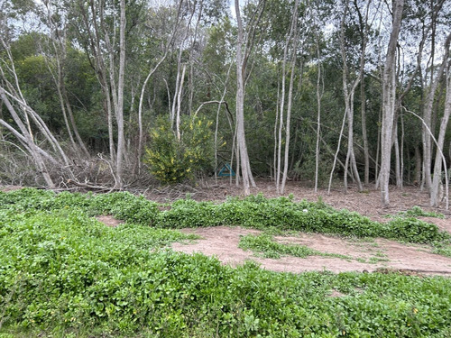 Vendemos Terreno En Sauce De Portezuelo