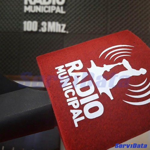 Capuchon Paraviento Micrófono Triangular Redondeado Con Logo