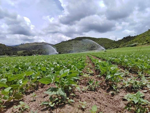 Imagen 9 de 15 de Belklia/ofrece Finca 242h.a ,pista Aterrizaje Carabobo (yol)