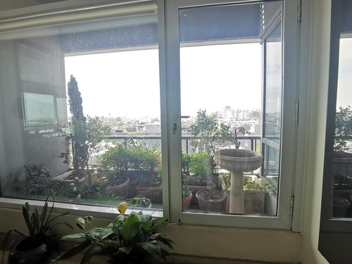 Imagen 7 de 30 de Departamento En Venta En Le Parc