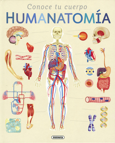 Humanatomía Edwards, Nicola Susaeta Ediciones