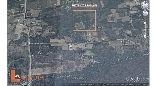 Imagen 4 de 4 de Loteo Sacramento Cerro De Oro Merlo