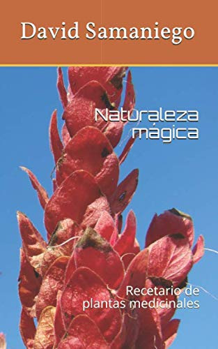 Naturaleza Magica: Recetario De Plantas Medicinales