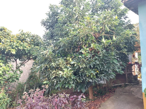 Imagem 8 de 12 de Chácara À Venda Em Chácara Parque São Pedro - Ch002245