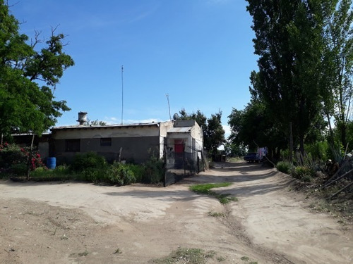 Imagen 10 de 14 de Finca En Las Paredes - 10 Hectareas 1º Regante