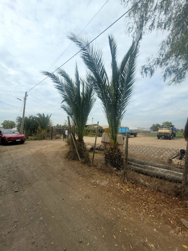 Rinconada De Maipu/autopista Del Sol 6 Hectareas