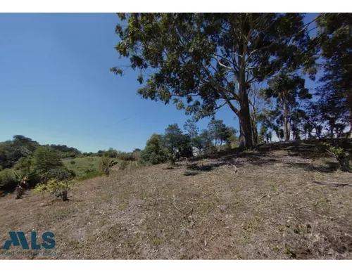 Finca En Oriente Para Disfrutar Del Silencio Y La ...(mls#245046)
