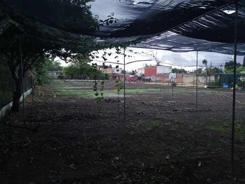 Terreno En Venta Casasano