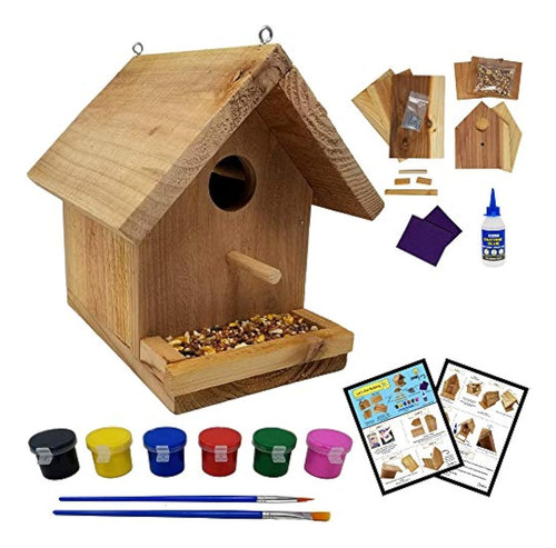 Sparkjump Jr Birdhouse Kit Con Juego De Pintura - Madera De 