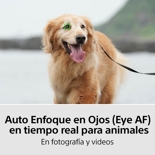 Cámara Profesional Sony Alpha + Lente Sel2870 Ilce-7m4k