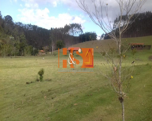 Imagem 11 de 18 de Fazenda - Fa00001 - 69800283