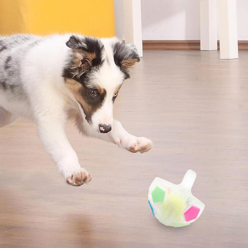 Para Perros Bola De FĂștbol Bola Interactiva Transparente