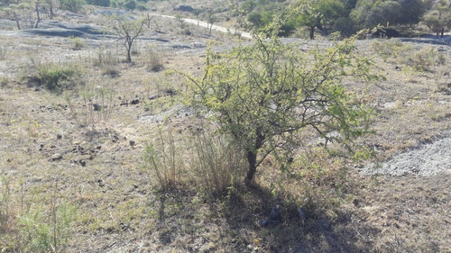 Imagen 12 de 12 de Terreno En Venta - Cordoba Calmayo - Títulos Perfectos