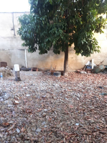 Imagen 3 de 10 de Terreno En Casco Central De Lechería, Para Alquiler