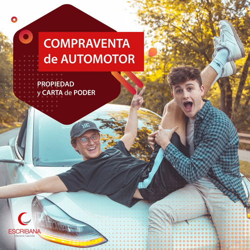 Imagen 2 de 6 de Escribana / Escribanía Agilidad Y Experiencia