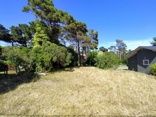 Imagen 4 de 9 de Cod 383 Lote Libertador Sur Pinamar