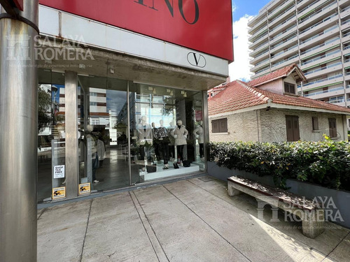 Imagen 1 de 16 de Alquiler Local 56 Metros - Calle 20 Península - Ref:4533373