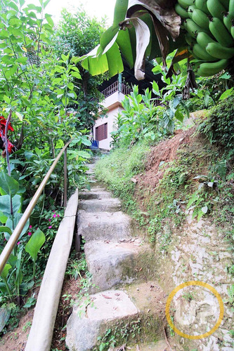 Lote / Terreno Em Padre Eustáquio - Belo Horizonte, Mg - 8601