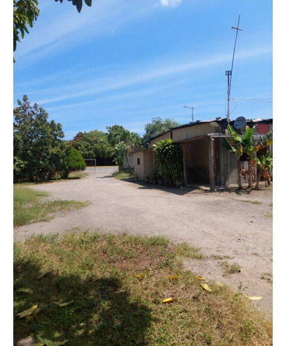Se Vende Terreno Con Bienechuría En Sector Copey Ve10-016sc-rgon