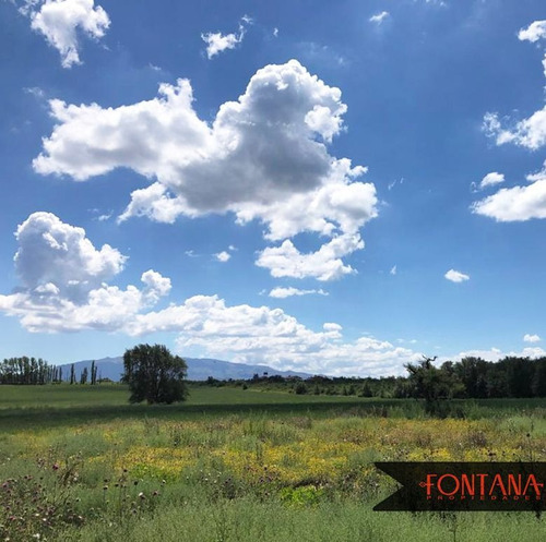 Imagen 4 de 5 de Campo En Venta En San Luis