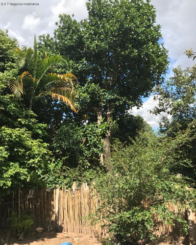 Imagem 2 de 18 de Chácara À Venda Na Vila Minerão - Sorocaba/sp - Ch00803 - 70632841