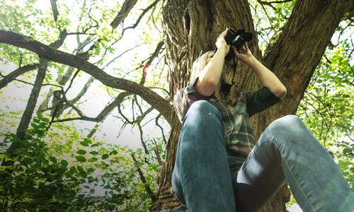 Imagen 4 de 9 de Binoculares Bushnell Prime 12 X 50 Max Poder Y Claridad!