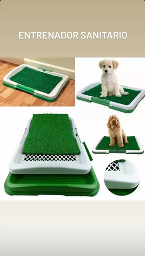 Bandeja Césped Para Mascotas Perros Gatos Baño Ecológico