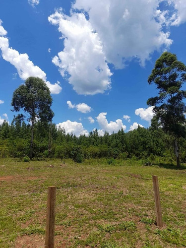 Imagen 18 de 25 de Loteo La Martina, Sobre Arroyo Acaraguá, Misiones