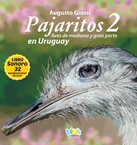 Pajaritos En Uruguay 2 - Augusto Giussi