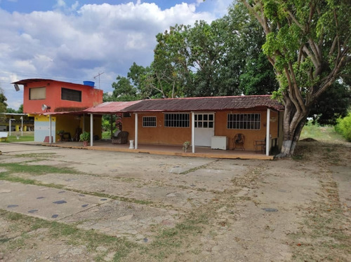 Imagen 7 de 13 de Junior Barreto 04244150764 Vende Finca En Tocuyito, Sector El Oasis. Valencia.