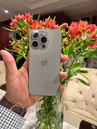 Iphone 15 Pro 256 Gb Titanio Natural E-sim Plateado (Usado)