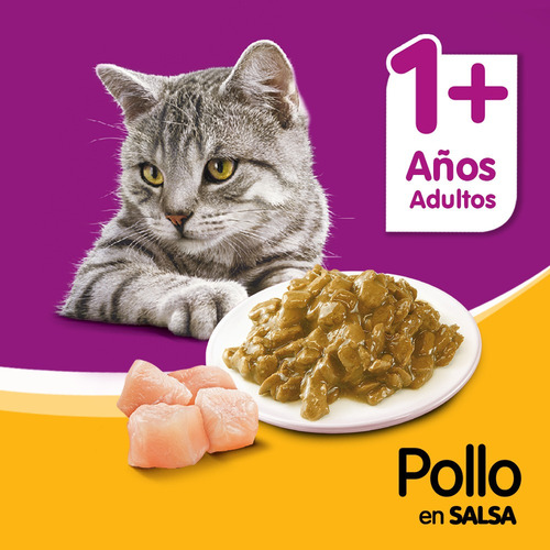 Imagen 5 de 7 de Whiskas Alimento Húmedo Gato Pollo Salsa Sobre X1un