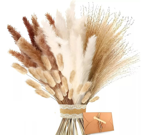 120pz Pampas Secas Plantas Decorativas Flores Artificiales