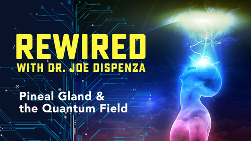 Rewired - Joe Dispenza - Español (Usado)