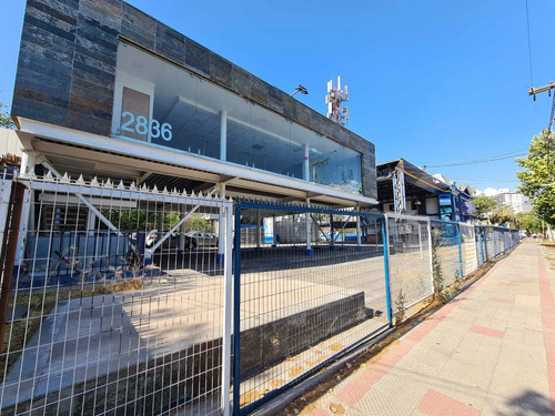 Arrienda Vende 500 Y 1500 M2 (167343)