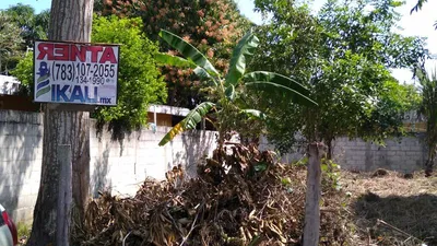 Terreno en renta