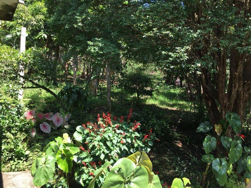 Imagem 10 de 19 de Chácara Rural À Venda, Penhinha, Arujá. - Ch0060