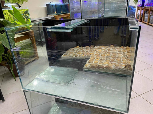 Imagem 10 de 10 de Terrario Para Tartaruga Aquática Direto Da Fabrica