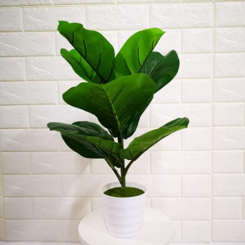 1 Planta Artificial Pequena Folhagem Ficus Violino Silicone | Frete grátis