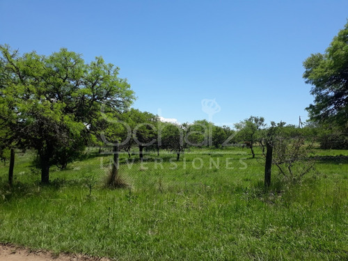 Imagen 1 de 2 de Terreno En Villa Castelar