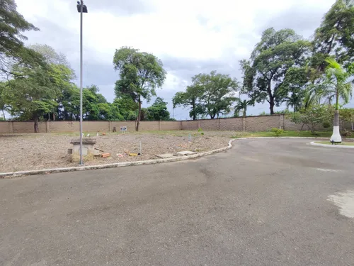 Lote En Venta En Bocono. Cod V30089