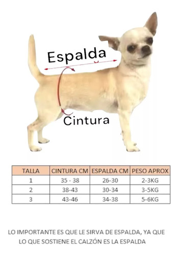 Calzón Celo Perritas Sanitarios Para Mascotas Jardinera