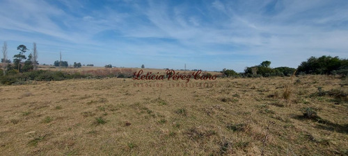 Imagen 13 de 23 de Venta De Chacra 19 Has En San Carlos, Maldonado