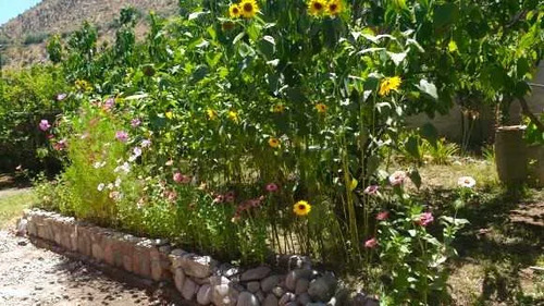 Vendo Parcela Valle Del Elqui/casa Y Cabaña (84522)
