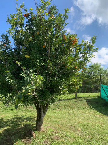 Terreno En Venta En Country La Herencia