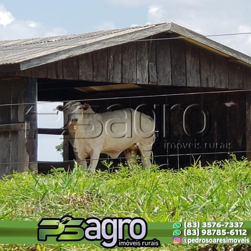 Imagem 1 de 16 de Fazenda À Venda, 34000000 M² Por R$ 22.000.000- Alta Floresta/mt - Fa0247