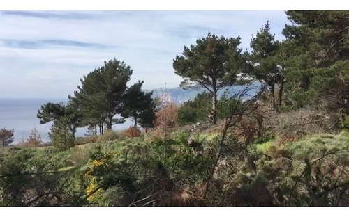 Dos Predios De 1 Há Condominio Reserva Ecológica Curaumilla