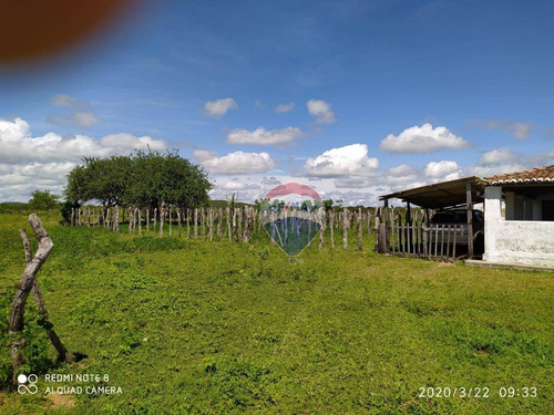 Fazenda Com 700000 M² À Venda E Locação - Zona Rural - Bento Fernandes/rio Grande Do Norte - Fa0004